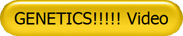 GENETICS!!!!! Video